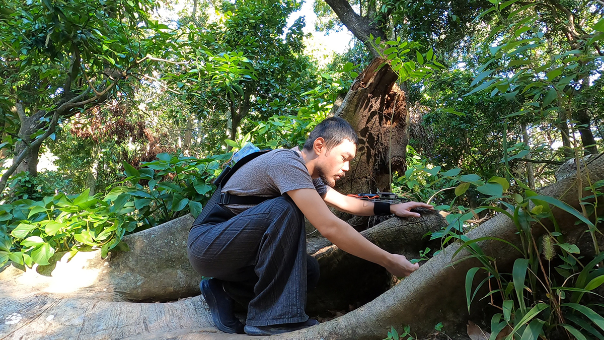 Máquina Sensível X-plorer + Parasite Vírus